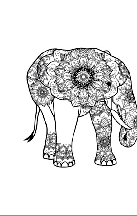 A design from Animal Mandalas