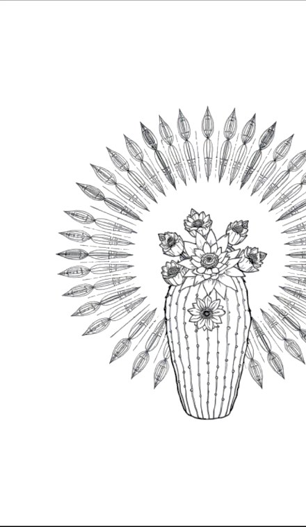 A design from Succulent & Cactus Mandalas