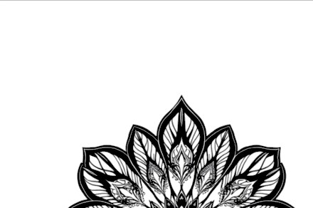 A design from Tropical Leaf Mandalas