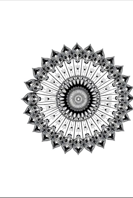 A design from Tropical Leaf Mandalas