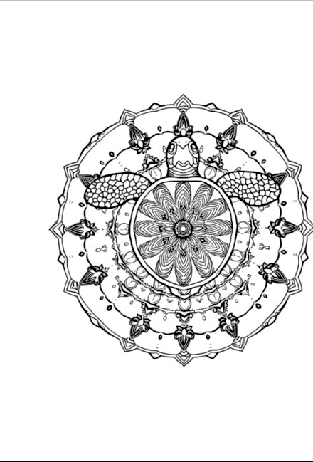 A design from Sea Turtle Mandalas