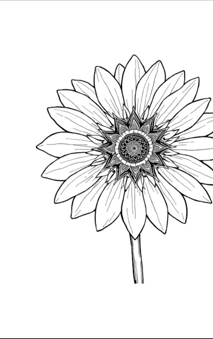 A design from Wildflower Mandalas